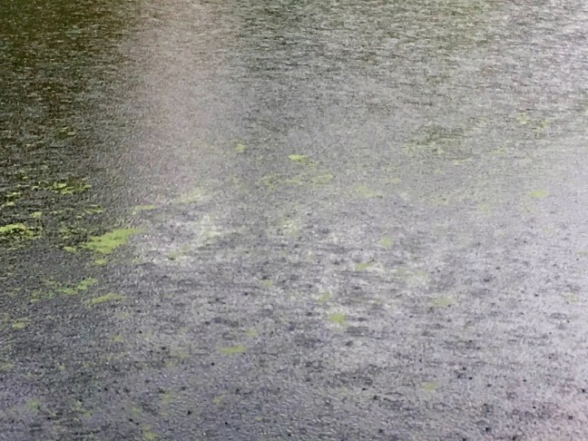 unadjustednonraw_thumb_9ed0