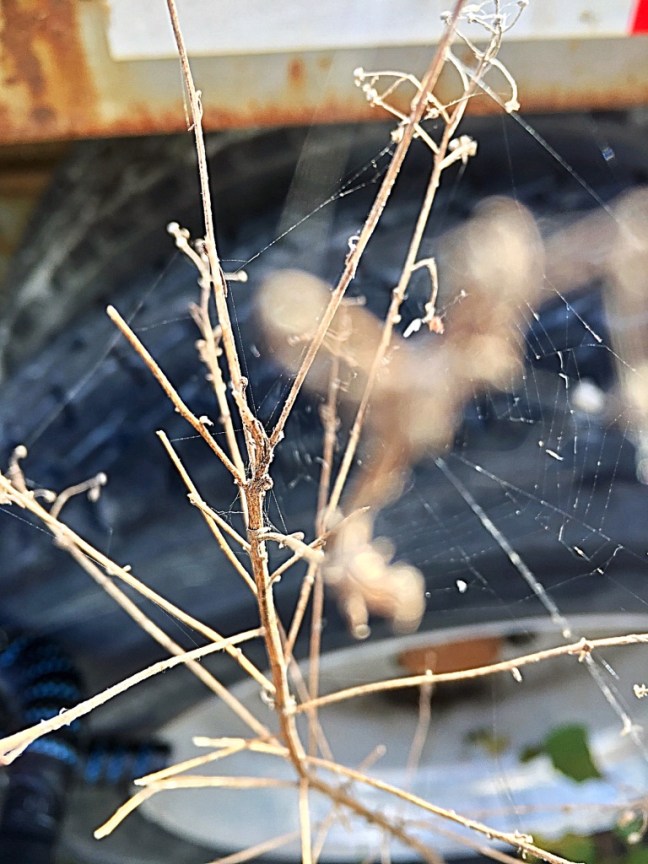 unadjustednonraw_thumb_a5c6