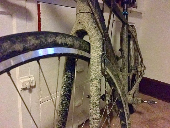 unadjustednonraw_thumb_abd1