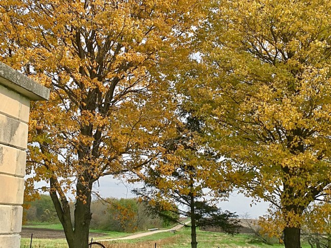 unadjustednonraw_thumb_c8eb