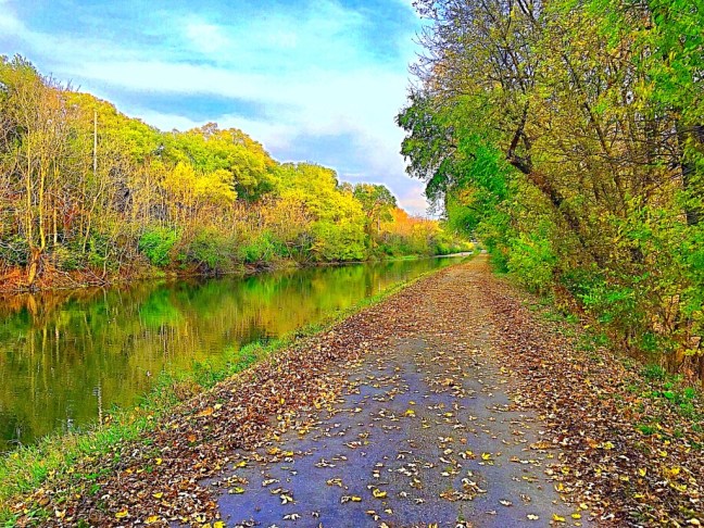 unadjustednonraw_thumb_cafa