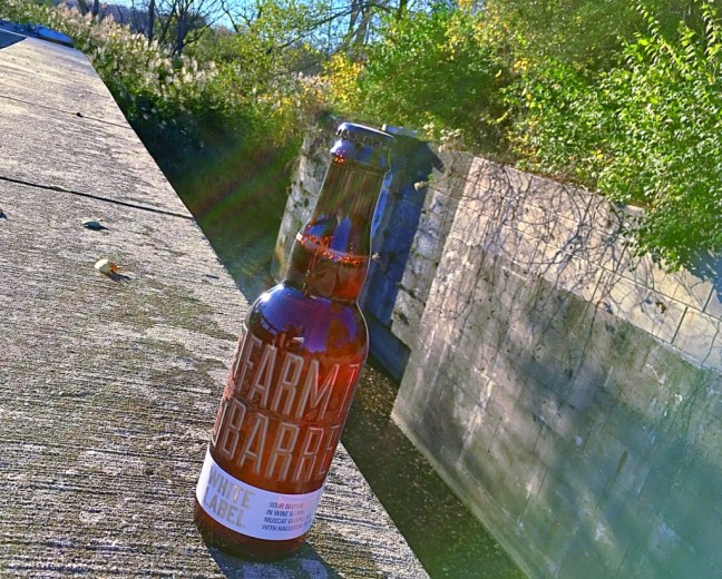 unadjustednonraw_thumb_cb00