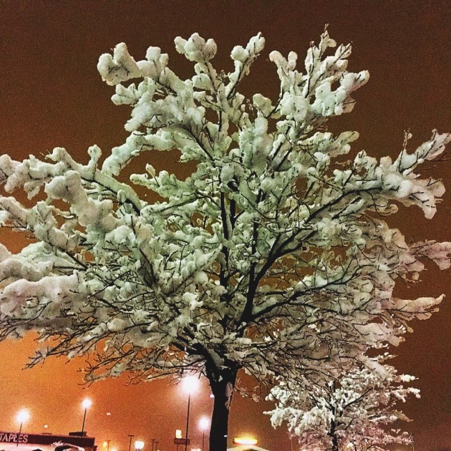 unadjustednonraw_thumb_cfba