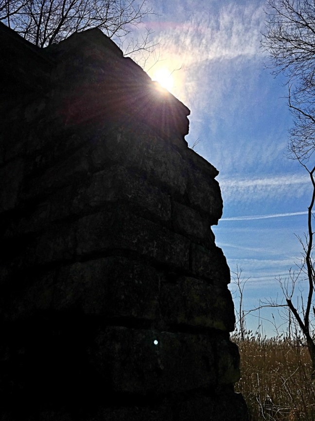 unadjustednonraw_thumb_15d8