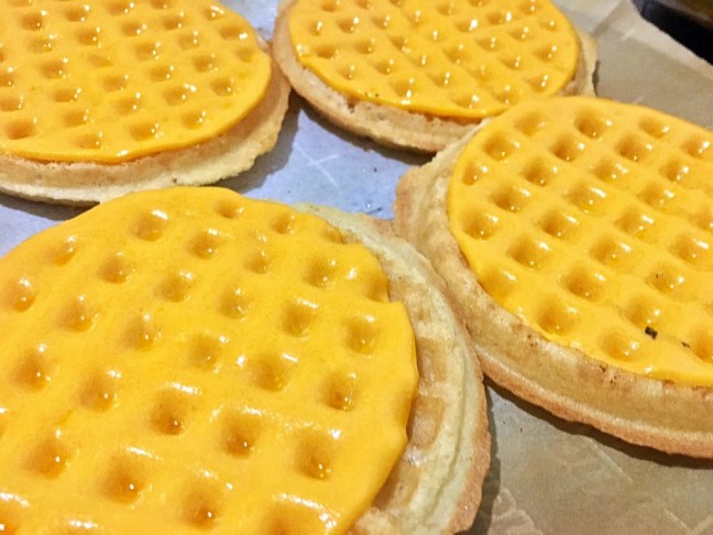 UNADJUSTEDNONRAW_thumb_1772