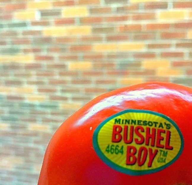 UNADJUSTEDNONRAW_thumb_3e96