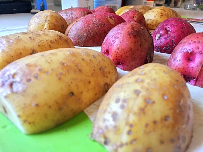 UNADJUSTEDNONRAW_thumb_4f7b