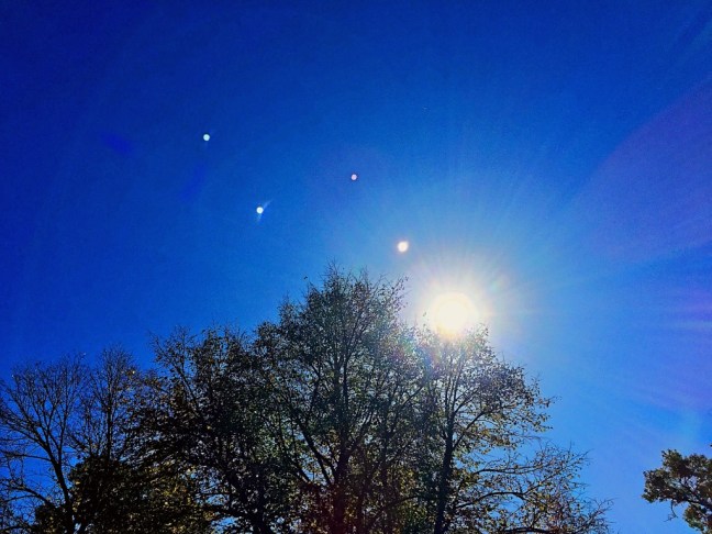 UNADJUSTEDNONRAW_thumb_5233