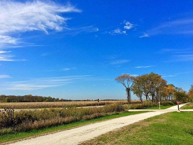 UNADJUSTEDNONRAW_thumb_5355