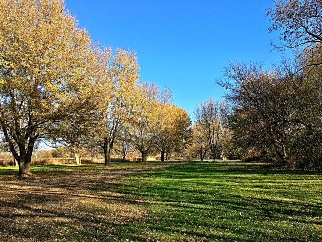 UNADJUSTEDNONRAW_thumb_572b