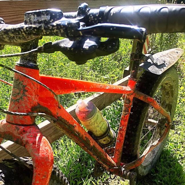 14067618_10210014915789394_4536319159771944960_n