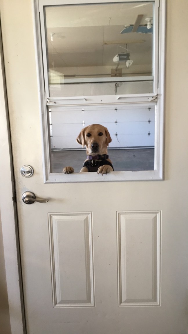 UNADJUSTEDNONRAW_thumb_59b1