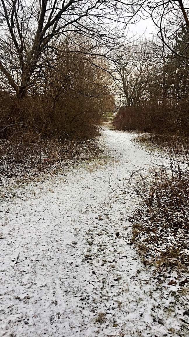 UNADJUSTEDNONRAW_thumb_5d01