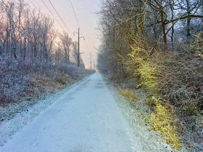 UNADJUSTEDNONRAW_thumb_5d41