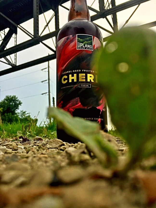 UNADJUSTEDNONRAW_thumb_333a