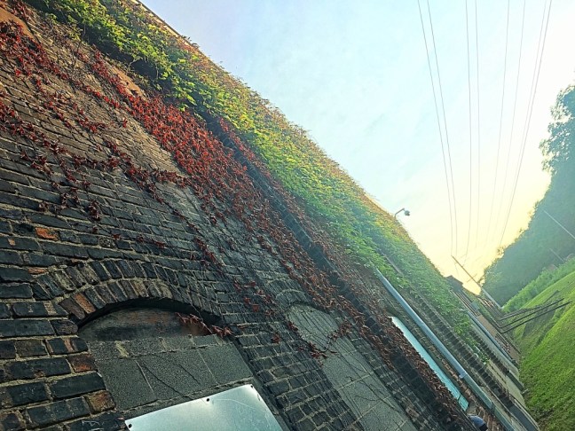 UNADJUSTEDNONRAW_thumb_3e28