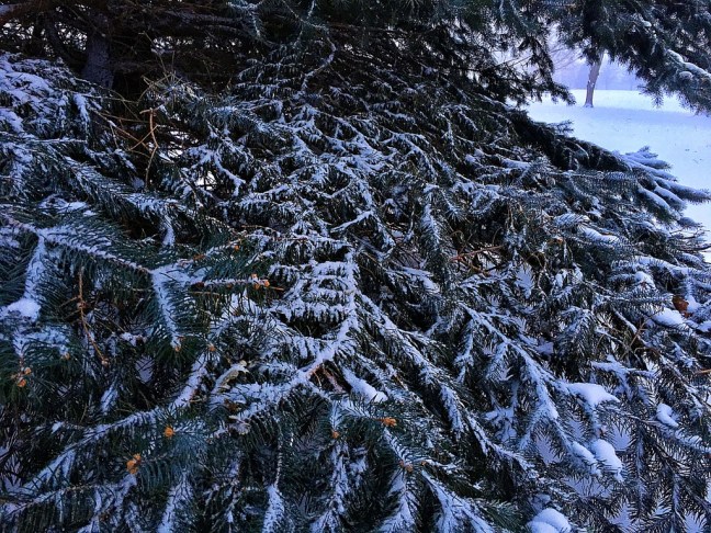 UNADJUSTEDNONRAW_thumb_5f2b