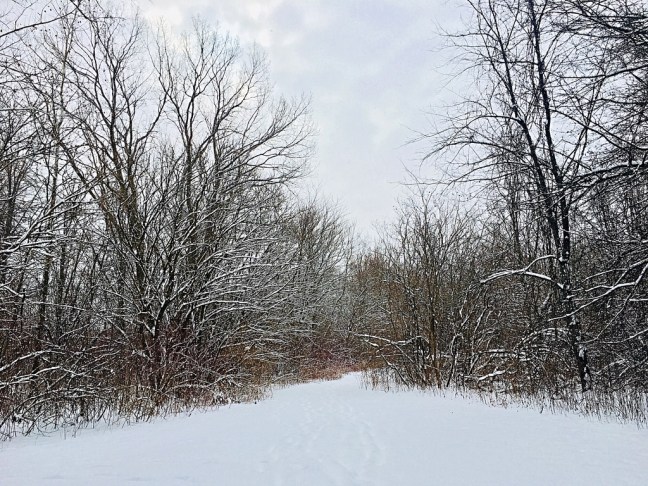 UNADJUSTEDNONRAW_thumb_7628