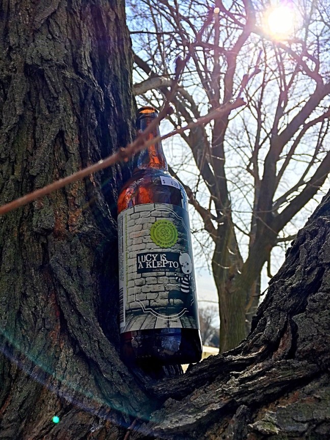 UNADJUSTEDNONRAW_thumb_794b