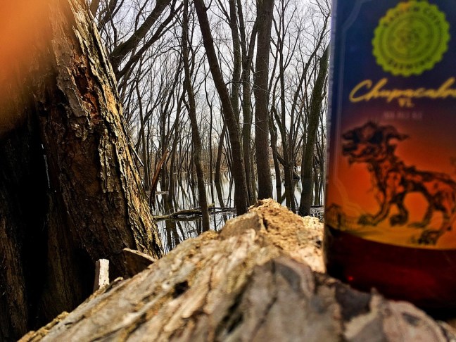 UNADJUSTEDNONRAW_thumb_7956