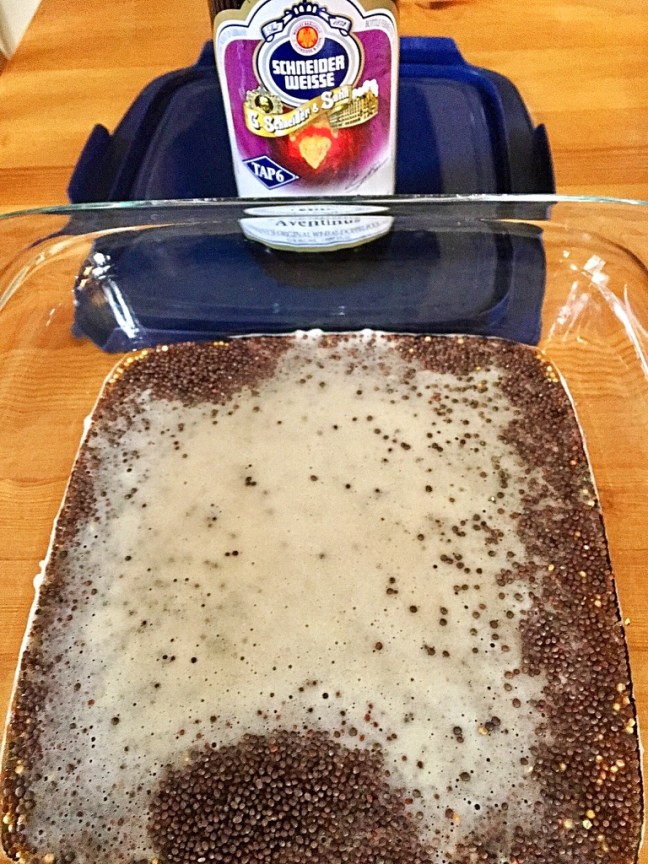 UNADJUSTEDNONRAW_thumb_9411