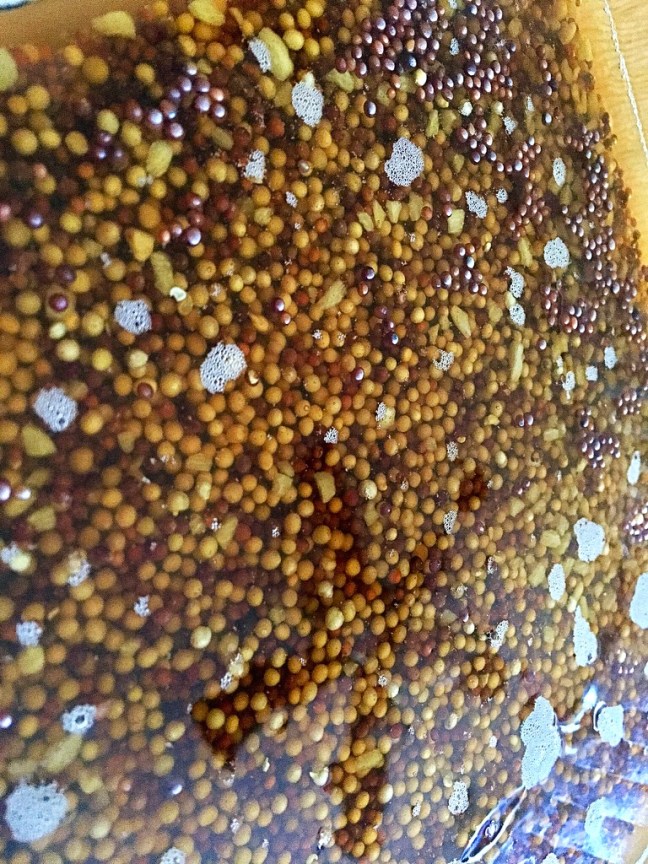 UNADJUSTEDNONRAW_thumb_9414