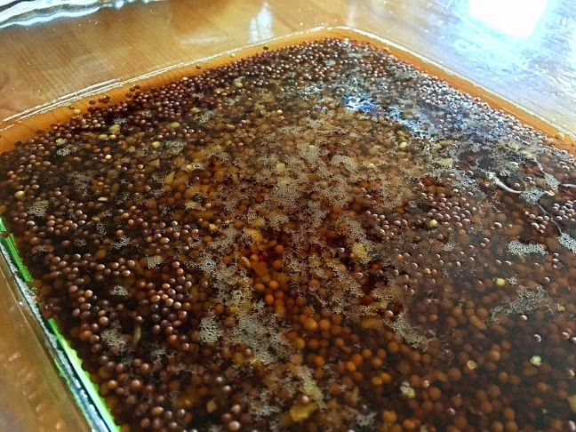 UNADJUSTEDNONRAW_thumb_9415