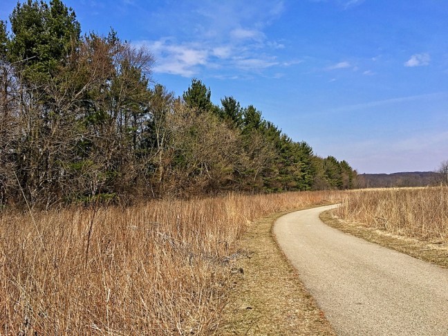 UNADJUSTEDNONRAW_thumb_95a9