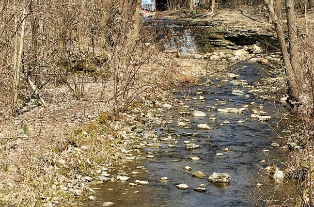 UNADJUSTEDNONRAW_thumb_95ae