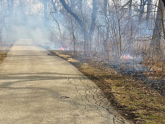 UNADJUSTEDNONRAW_thumb_95c1