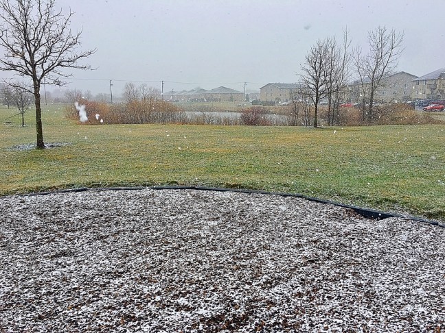 UNADJUSTEDNONRAW_thumb_9631