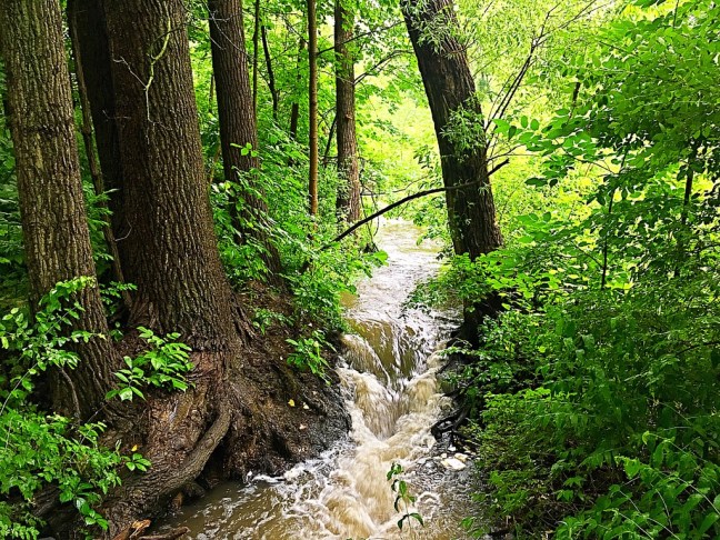 UNADJUSTEDNONRAW_thumb_df01