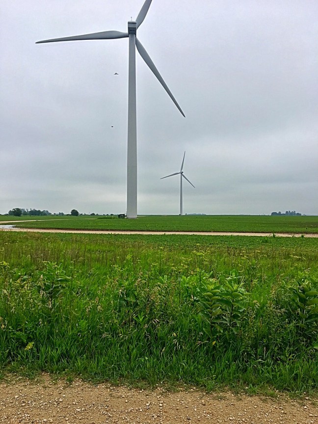 UNADJUSTEDNONRAW_thumb_dfb3