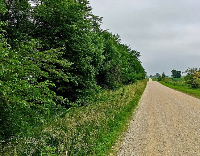 UNADJUSTEDNONRAW_thumb_dfcd