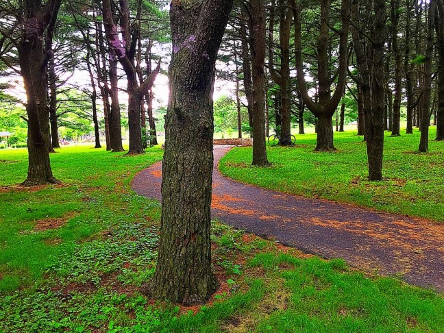 UNADJUSTEDNONRAW_thumb_e2a6