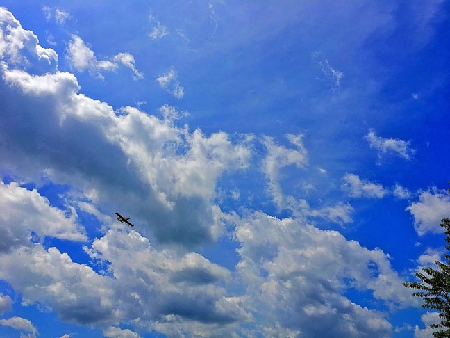 UNADJUSTEDNONRAW_thumb_e488