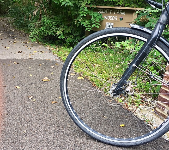 UNADJUSTEDNONRAW_thumb_eb4f