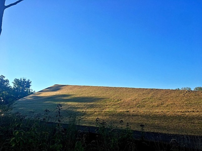 UNADJUSTEDNONRAW_thumb_ebed