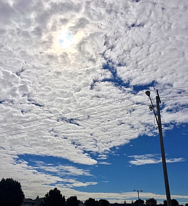 UNADJUSTEDNONRAW_thumb_ebf3