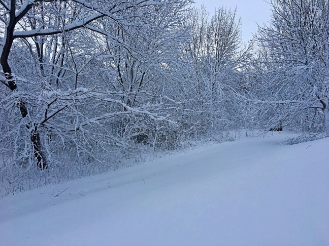 UNADJUSTEDNONRAW_thumb_f1ae