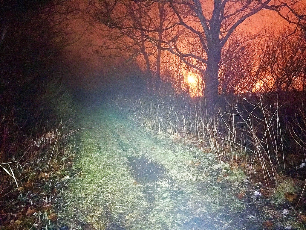 UNADJUSTEDNONRAW_thumb_d8a0