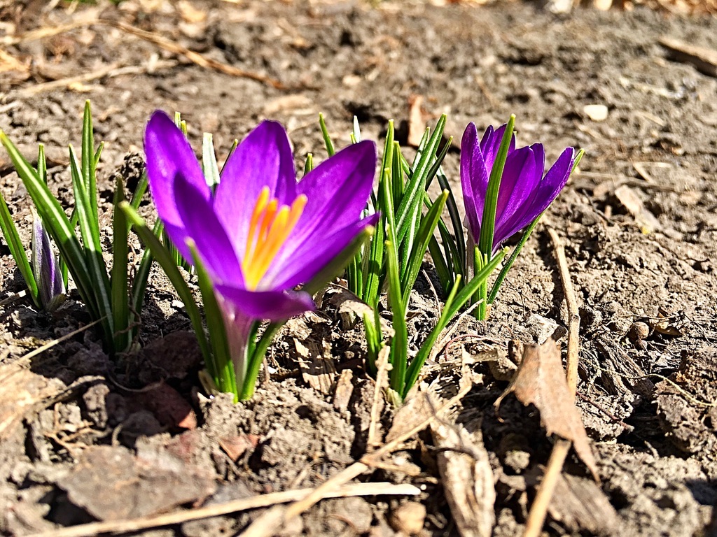 UNADJUSTEDNONRAW_thumb_dabb