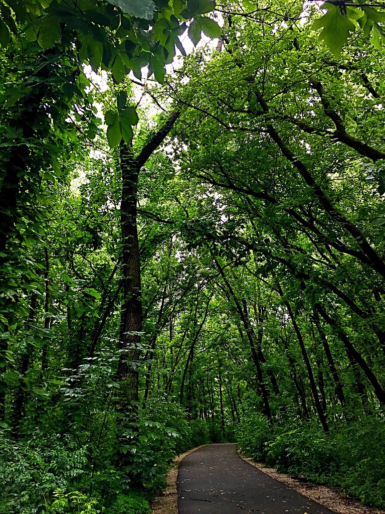 UNADJUSTEDNONRAW_thumb_def2