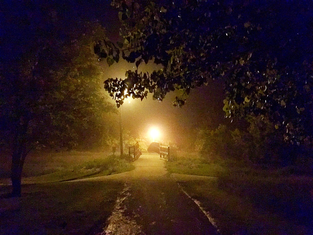 UNADJUSTEDNONRAW_thumb_df6c