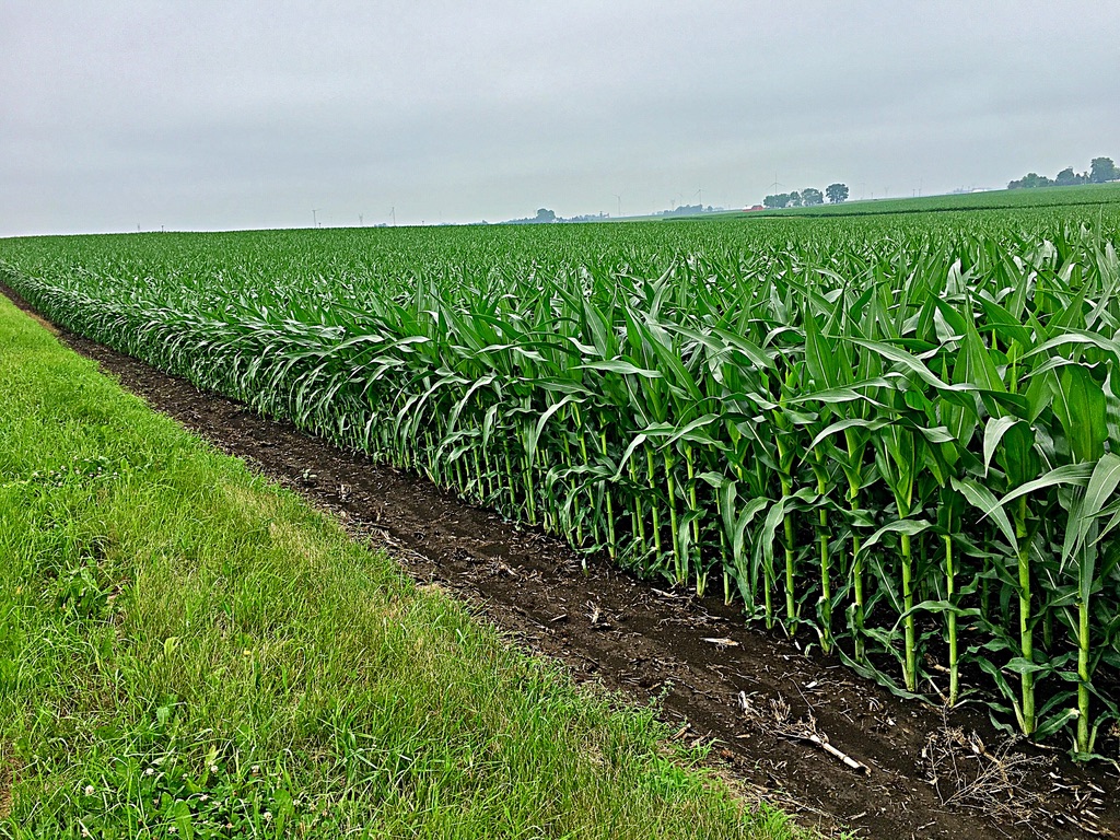 UNADJUSTEDNONRAW_thumb_dfc2