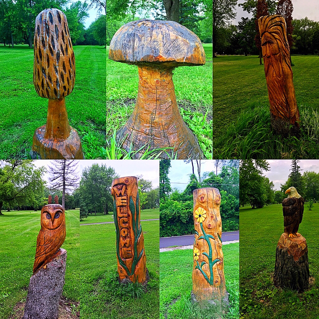 UNADJUSTEDNONRAW_thumb_e0f1