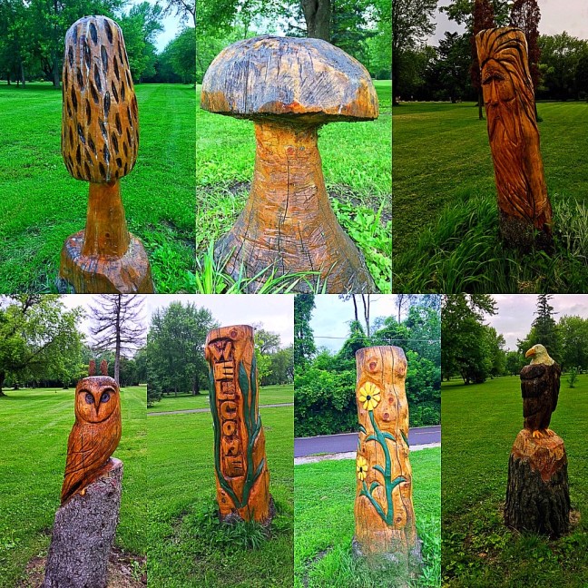 UNADJUSTEDNONRAW_thumb_e0f1