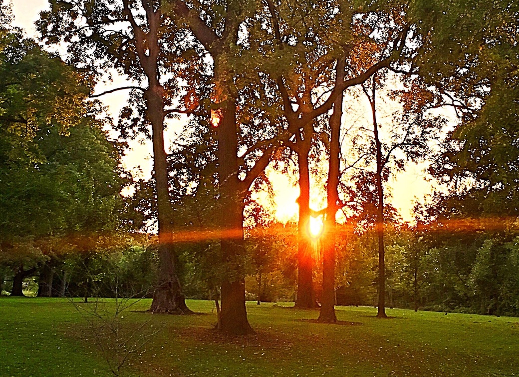 UNADJUSTEDNONRAW_thumb_ebc3