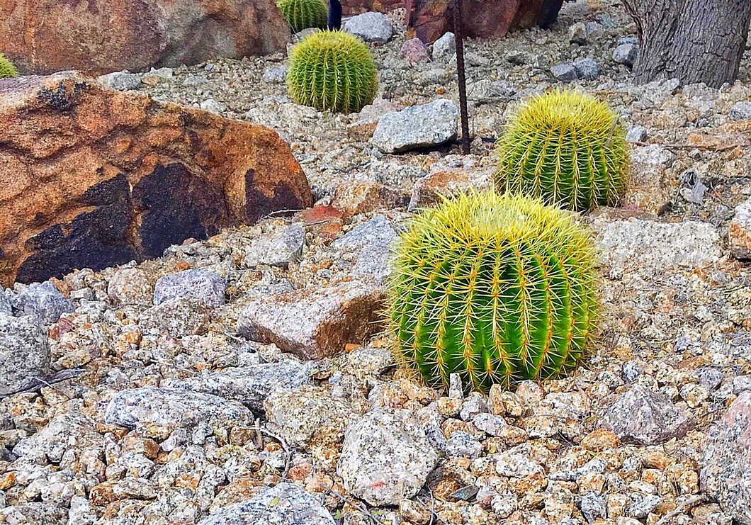 unadjustednonraw_thumb_f5e2