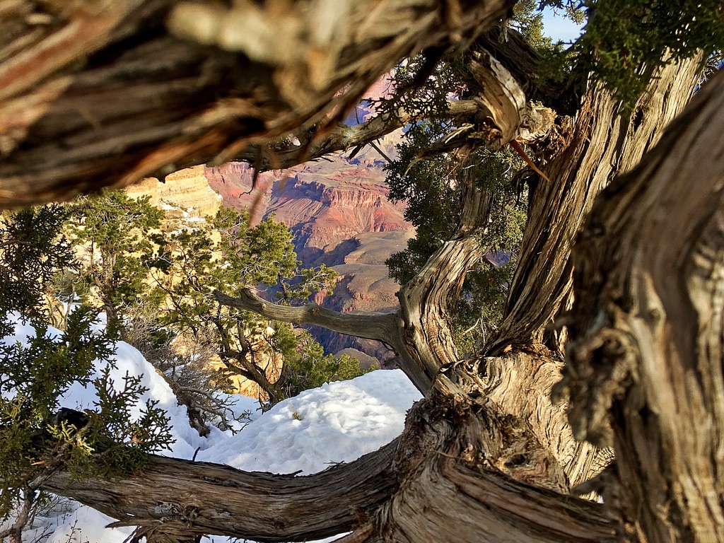 unadjustednonraw_thumb_f62d